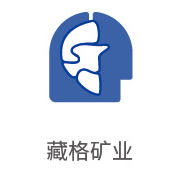 尊龙凯时合作伙伴：藏格矿业
