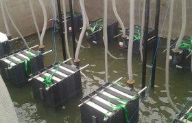 发电厂垃圾渗滤液水质特点是什么？