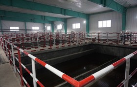 豆制品污水水质特征有什么？处理难点和工艺有哪些？