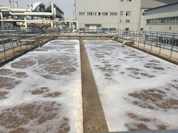如何提高屠宰污水处理设备排污效率？
